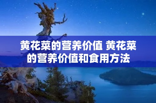 黄花菜的营养价值 黄花菜的营养价值和食用方法