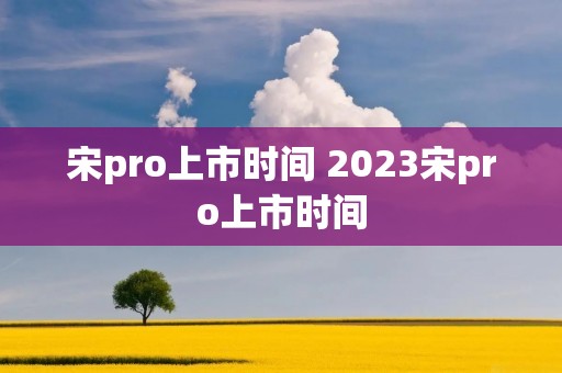 宋pro上市时间 2023宋pro上市时间