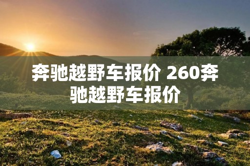 奔驰越野车报价 260奔驰越野车报价