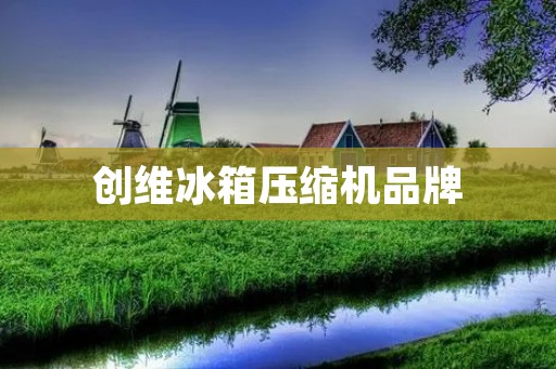 创维冰箱压缩机品牌:为您带来更舒适的生活体验 创维冰箱压缩机品牌:为您带来更舒适的生活体验