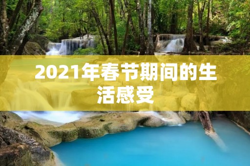 2021年春节期间的生活感受