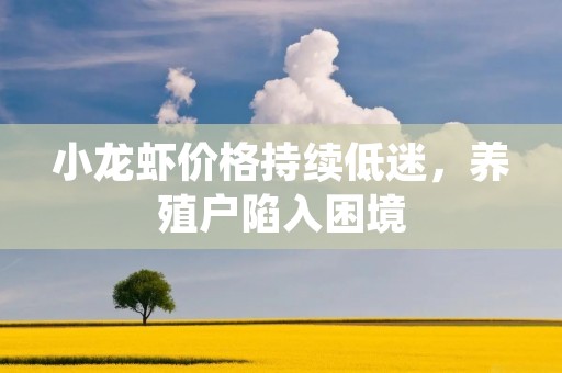 小龙虾价格持续低迷，养殖户陷入困境