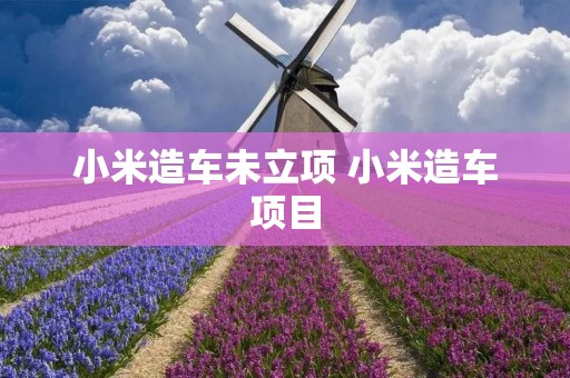 小米造车未立项 小米造车项目