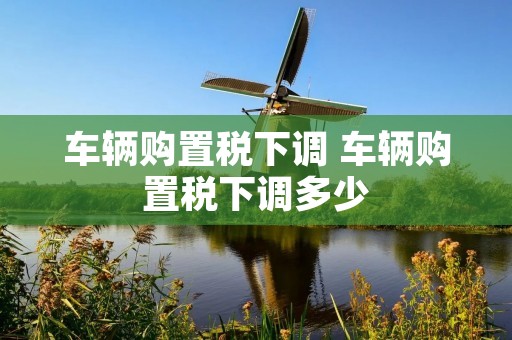 车辆购置税下调 车辆购置税下调多少 车辆购置税下调 车辆购置税下调多少