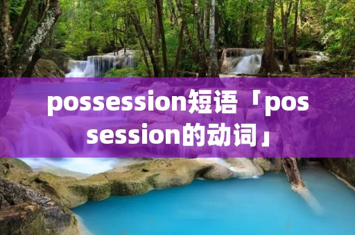 possession短语「possession的动词」