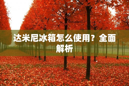 达米尼冰箱怎么使用？全面解析