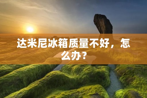 达米尼冰箱质量不好，怎么办？