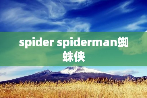 spider spiderman蜘蛛侠