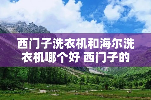 西门子洗衣机和海尔洗衣机哪个好 西门子的优点和缺点