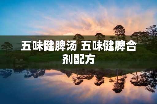 五味健脾汤 五味健脾合剂配方 五味健脾汤 五味健脾合剂配方