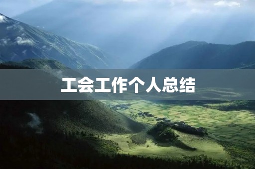 工会工作个人总结