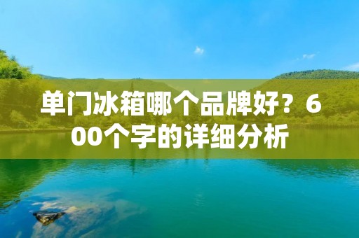 单门冰箱哪个品牌好？600个字的详细分析