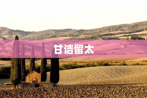 甘诘留太：一个关于爱与勇气的故事