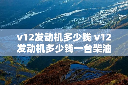 v12发动机多少钱 v12发动机多少钱一台柴油