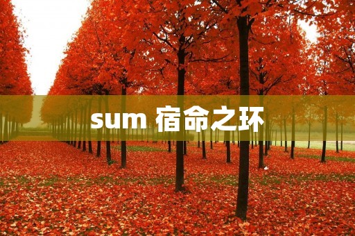 sum 宿命之环 sum 宿命之环
