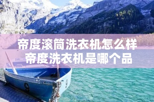 帝度滚筒洗衣机怎么样 帝度洗衣机是哪个品牌的 帝度滚筒洗衣机怎么样 帝度洗衣机是哪个品牌的