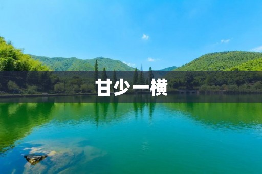 甘少一横:一位“忠诚的老兵” 甘少一横:一位“忠诚的老兵”