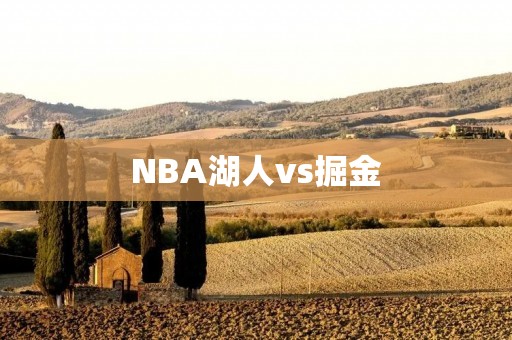 NBA湖人vs掘金：比赛回顾与分析