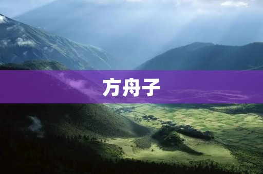 方舟子:一个来自安徽的科学家与反骗子