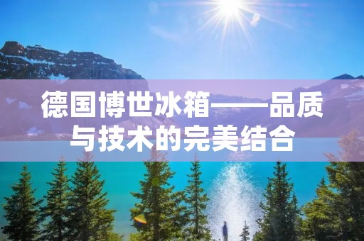 德国博世冰箱——品质与技术的完美结合 德国博世冰箱——品质与技术的完美结合