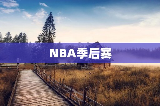 NBA季后赛:湖人VS开拓者——湖人险胜,晋级西部半决赛 NBA季后赛:湖人VS开拓者——湖人险胜,晋级西部半决赛
