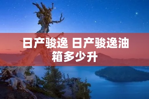 日产骏逸 日产骏逸油箱多少升