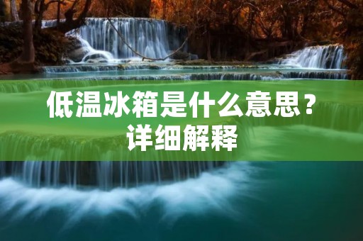 低温冰箱是什么意思?详细解释 低温冰箱是什么意思?详细解释