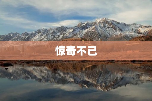 惊奇不已：探索惊异的近义词