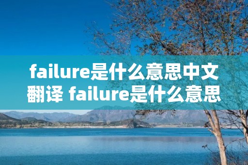 failure是什么意思中文翻译 failure是什么意思?