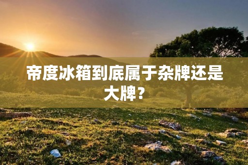 帝度冰箱到底属于杂牌还是大牌？