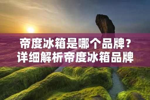 帝度冰箱是哪个品牌？详细解析帝度冰箱品牌及其产品特点