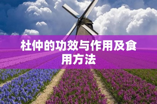 杜仲的功效与作用及食用方法