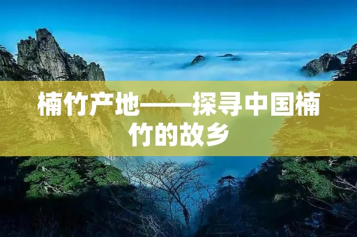 楠竹产地——探寻中国楠竹的故乡