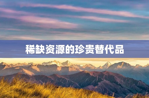 稀缺资源的珍贵替代品