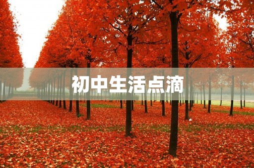 初中生活点滴:我的周记 初中生活点滴:我的周记