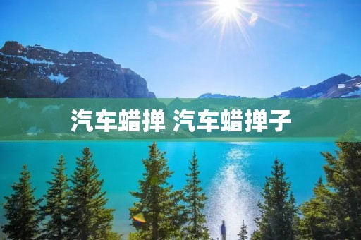 汽车蜡掸 汽车蜡掸子