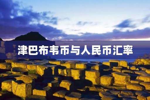 津巴布韦币与人民币汇率：历史变迁与现状