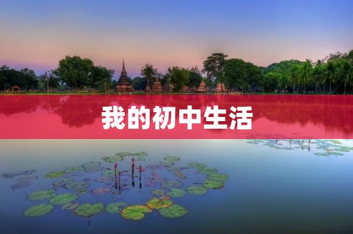我的初中生活 我的初中生活
