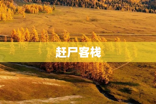 赶尸客栈：一段惊心动魄的冒险之旅