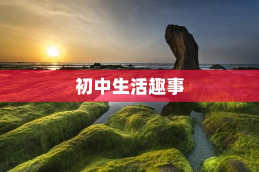 初中生活趣事 初中生活趣事