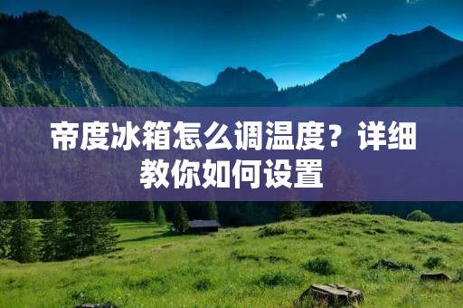 帝度冰箱怎么调温度?详细教你如何设置 帝度冰箱怎么调温度?详细教你如何设置