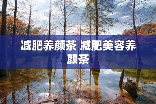 减肥养颜茶 减肥美容养颜茶