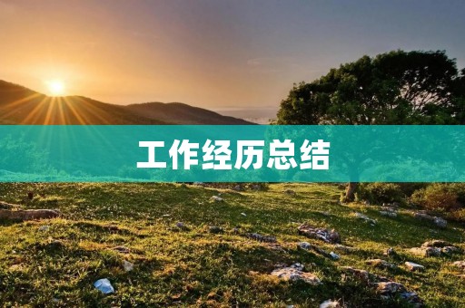 工作经历总结:我的成长与收获