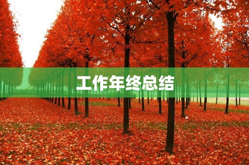 工作年终总结:回顾成长,展望未来
