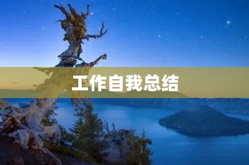 工作自我总结:我在工作中的成长与收获