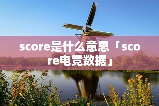score是什么意思「score电竞数据」