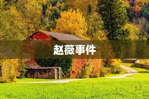 赵薇事件：一场道德与商业的博弈