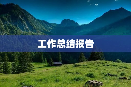 工作总结报告:2021年度销售部门工作总结