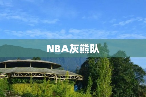 NBA灰熊队：重返巅峰之路