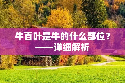 牛百叶是牛的什么部位？——详细解析